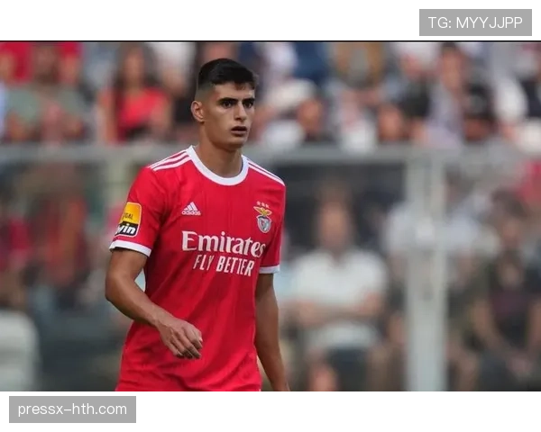 本菲卡全面推进青训改革，全力培养未来足球新星